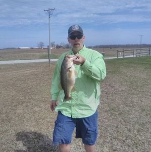 Meet your Posher, Gene